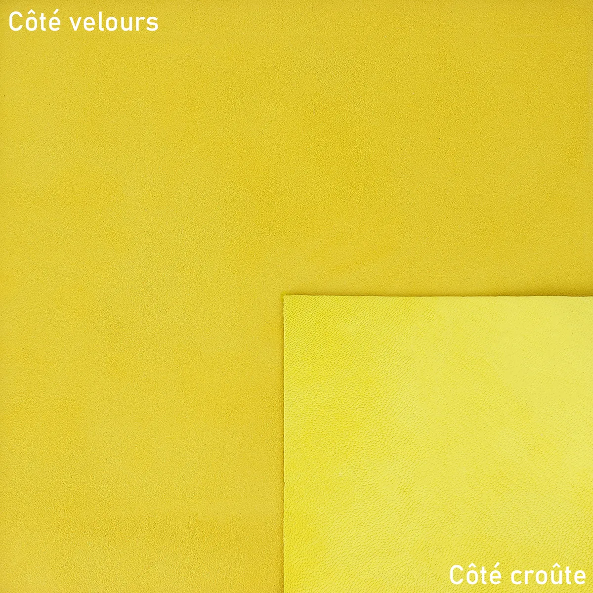 Peau de cuir de chèvre velours - JAUNE U09 - Image 2