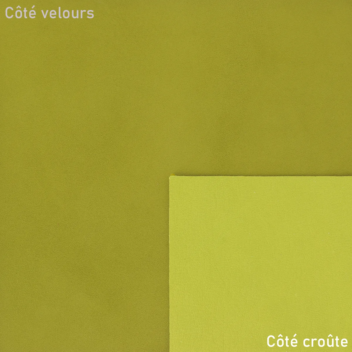 Peau de cuir de chèvre velours - VERT ACIDE U10 - Image 2
