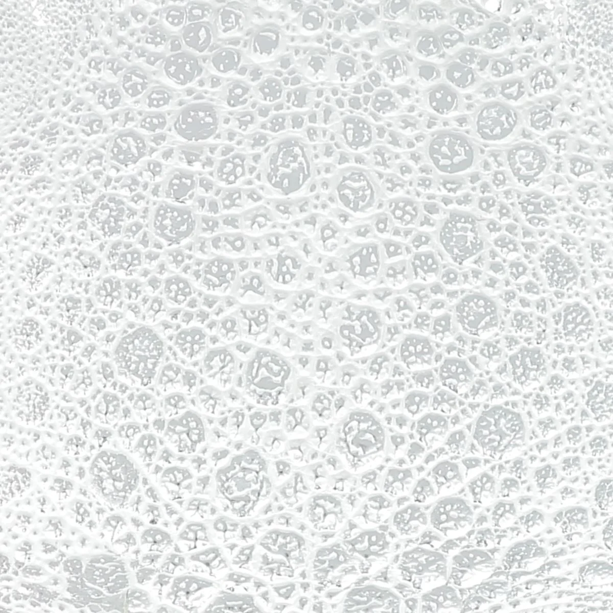 Peau de cuir de crapaud - BLANC & ARGENT P81 - Image 3