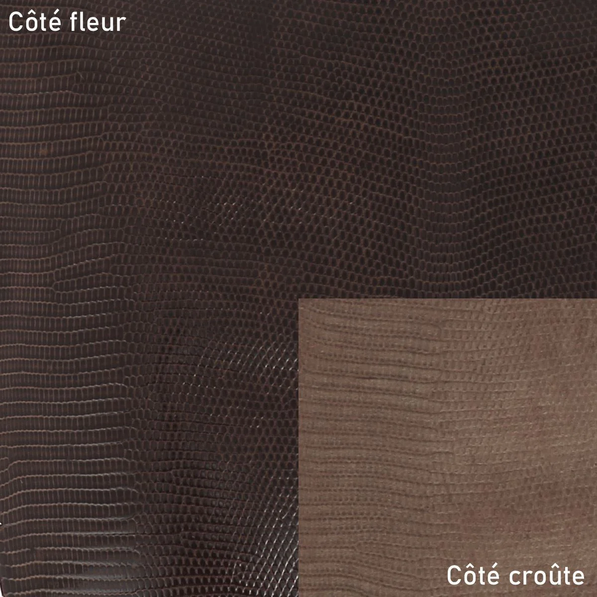 Peau de cuir de lézard - BRUN FONCÉ BRILLANT O81 - 17cm - Image 2