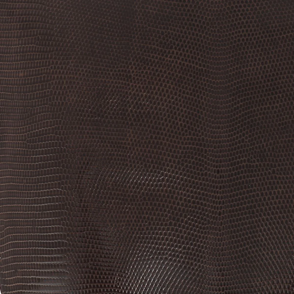 Peau de cuir de lézard - BRUN FONCÉ BRILLANT O81 - 17cm - Image 4