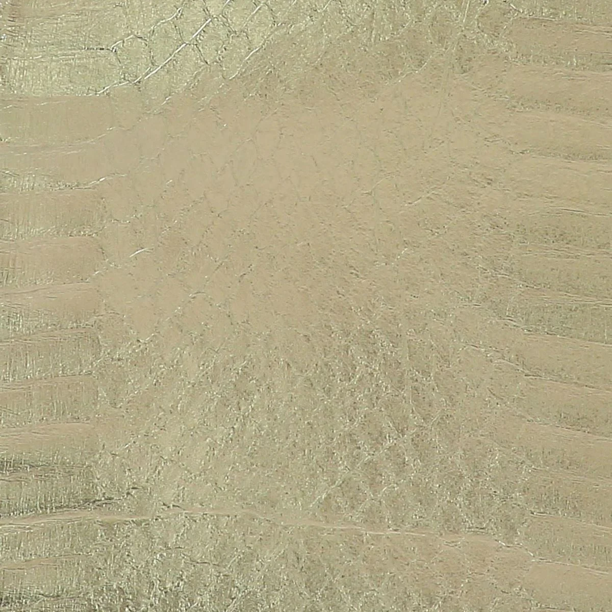 Peau de cuir de serpent Élaphe dorsale - PLATINE - Image 2