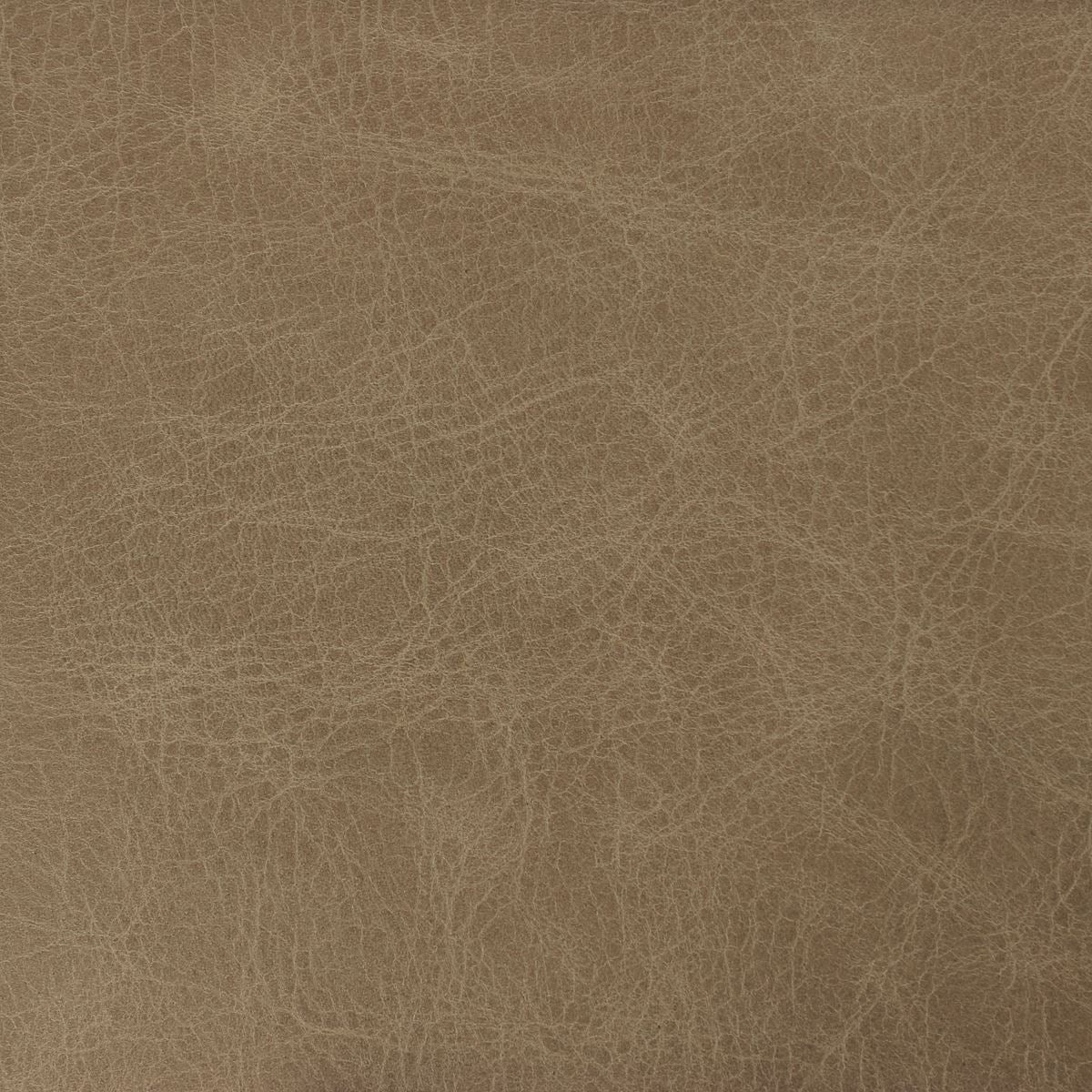 Peau de cuir de vachette ameublement CLUB - BEIGE KRAFT - Image 5