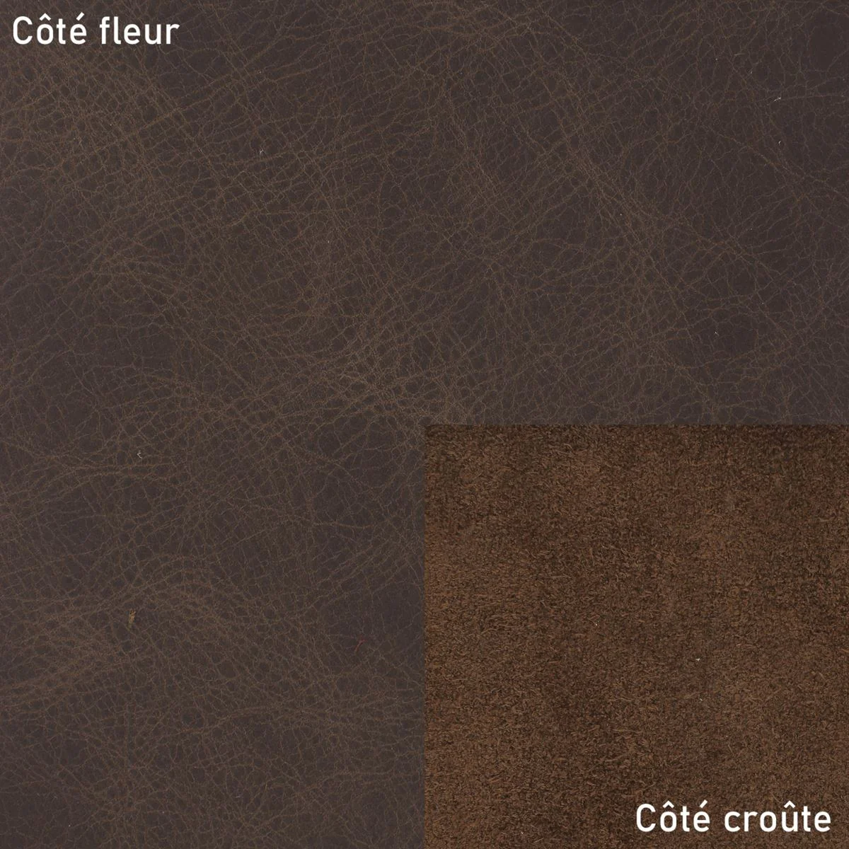 Peau de cuir de vachette ameublement CLUB - BRUN - Image 3