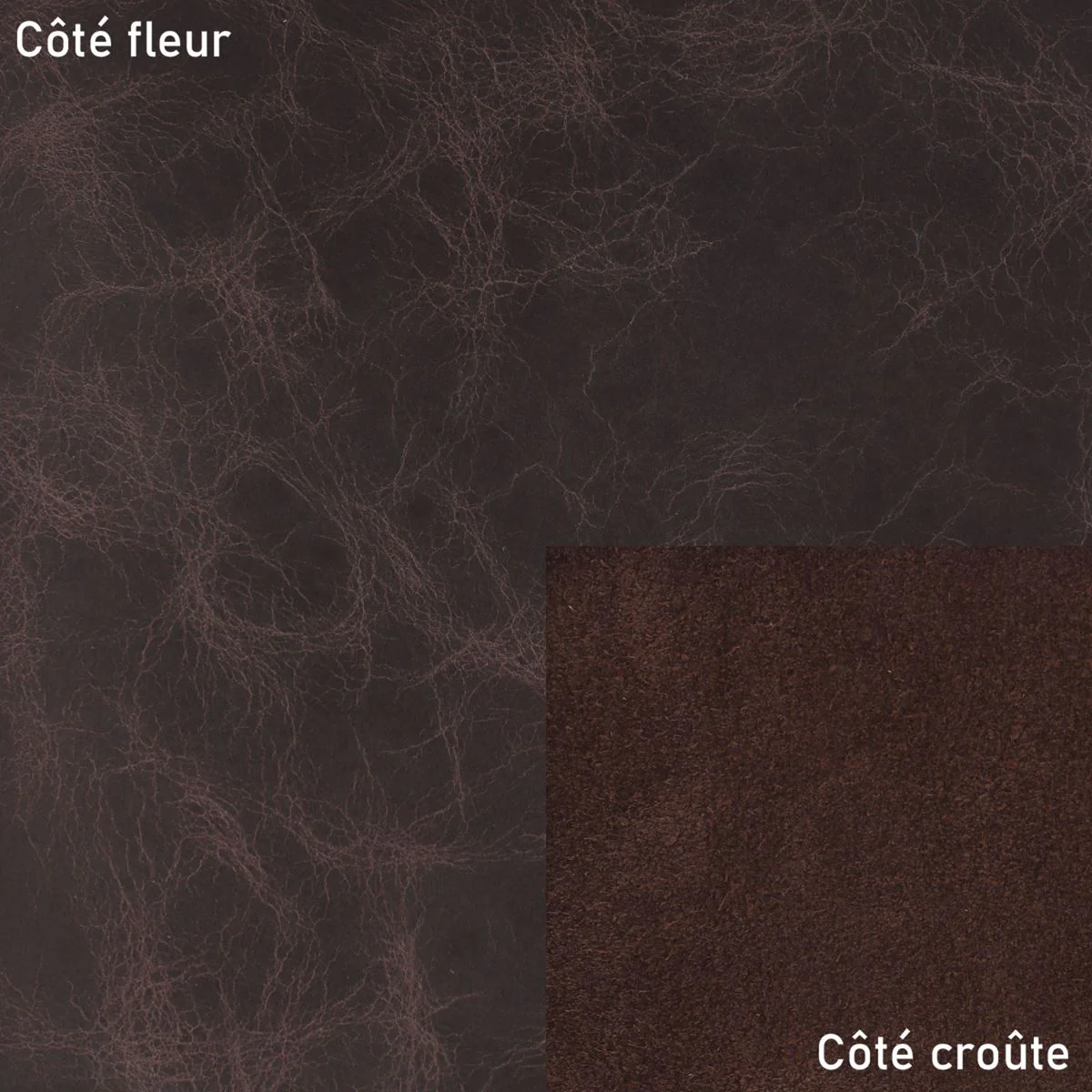 Peau de cuir de vachette ameublement CLUB - CHOCOLAT - Image 4