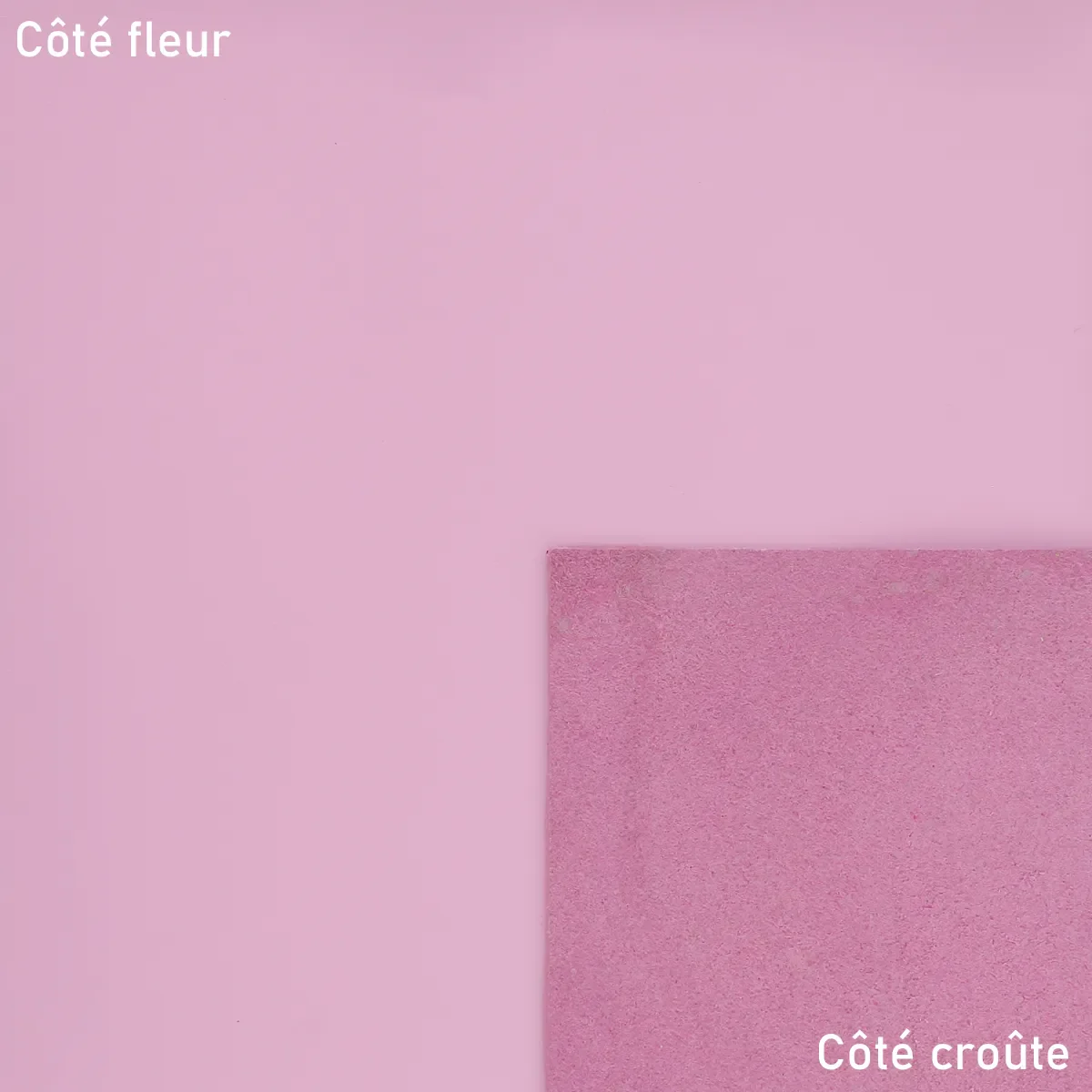Peau de cuir de vachette effet gommé - ROSE S48 - Image 2