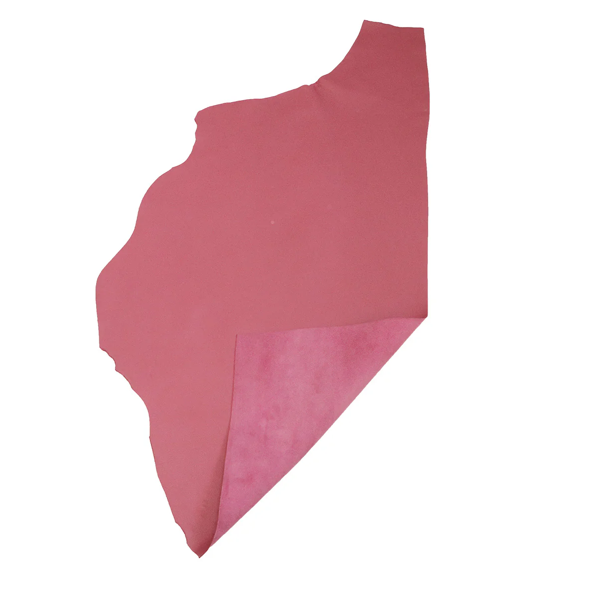 Peau de cuir de vachette grainé - ROSE LAURIER P67 - Image 3