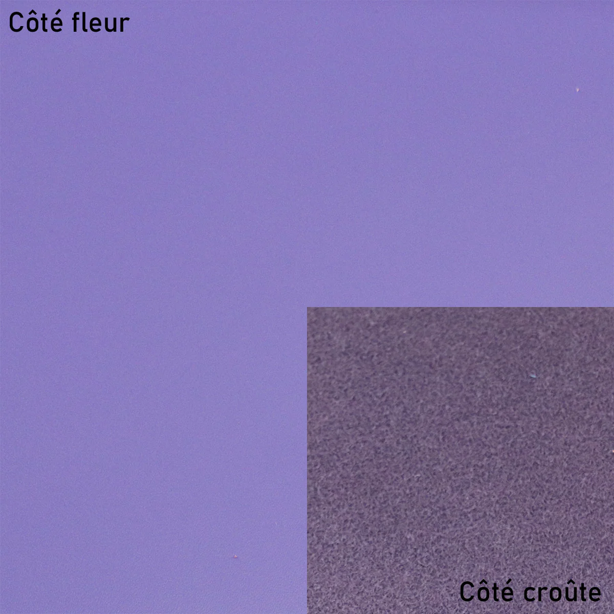 Peau de cuir de vachette lisse et ferme - VIOLET P48 - Image 2