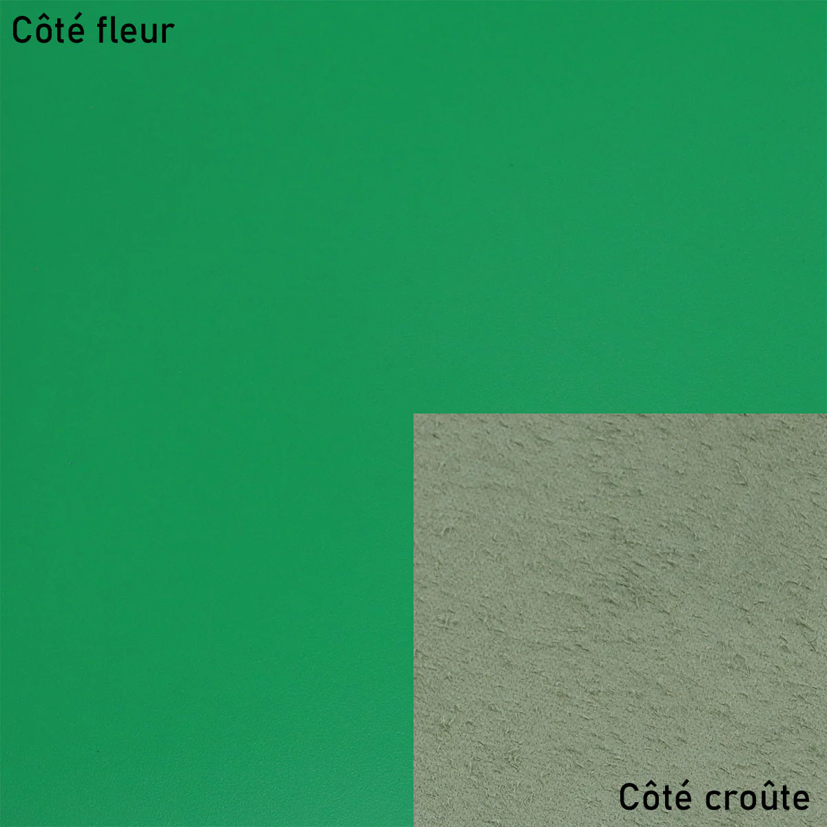 Peau de cuir de vachette lisse et ferme - VERT P52 - Image 2