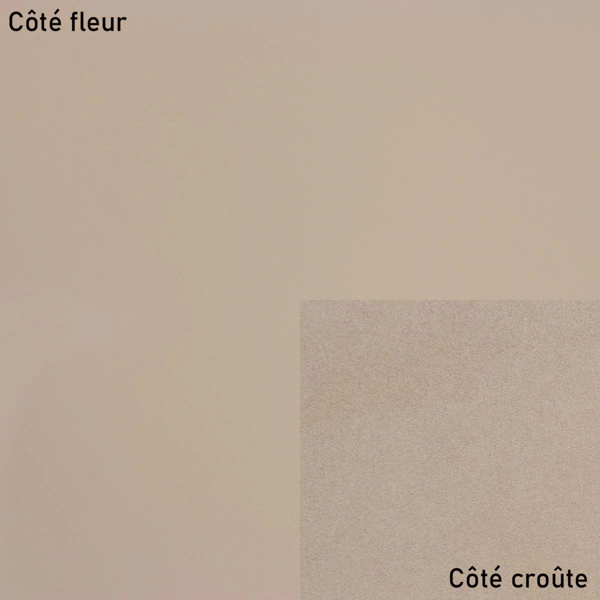Peau de cuir de vachette SUAVE - BEIGE M45 - Image 2