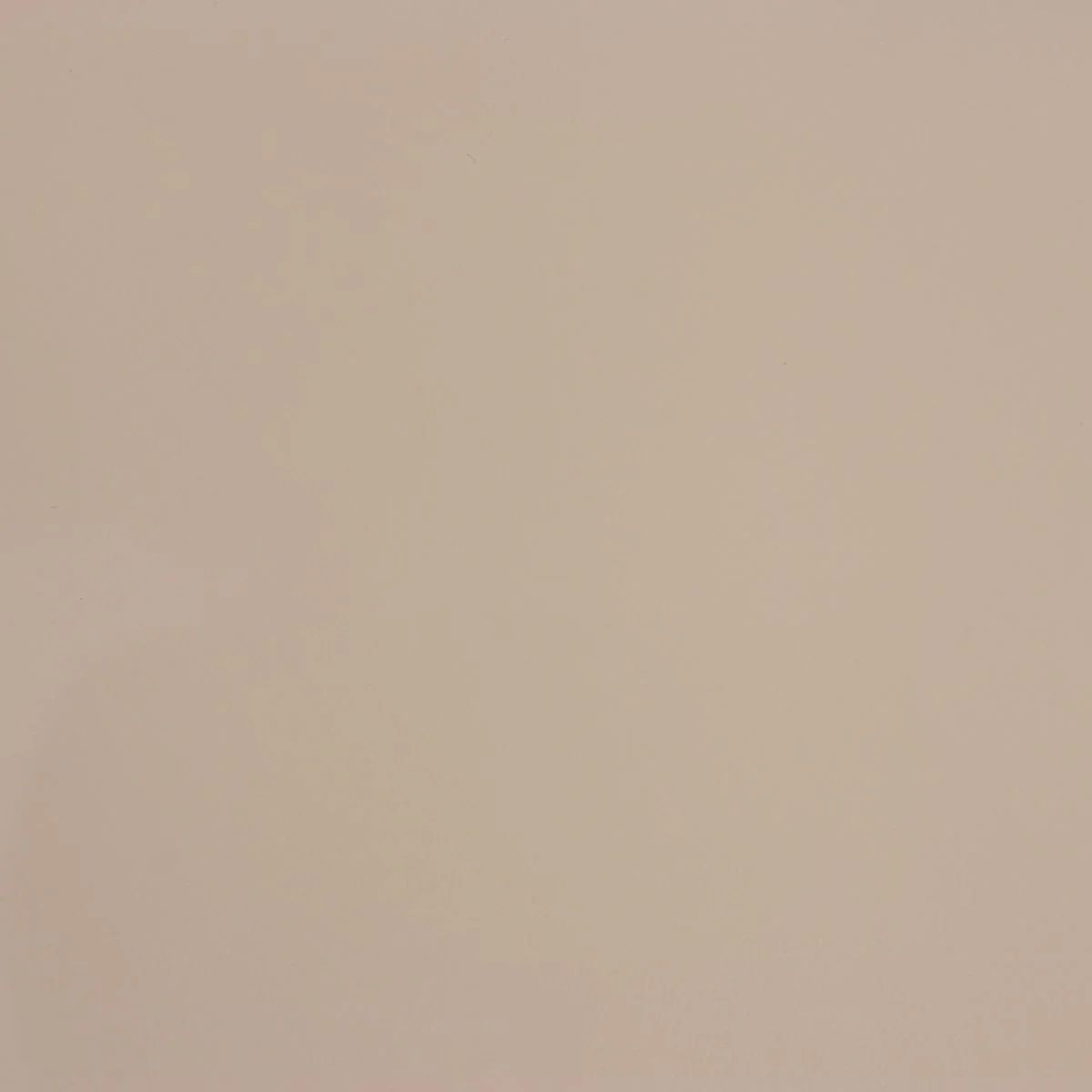 Peau de cuir de vachette SUAVE - BEIGE M45 - Image 4