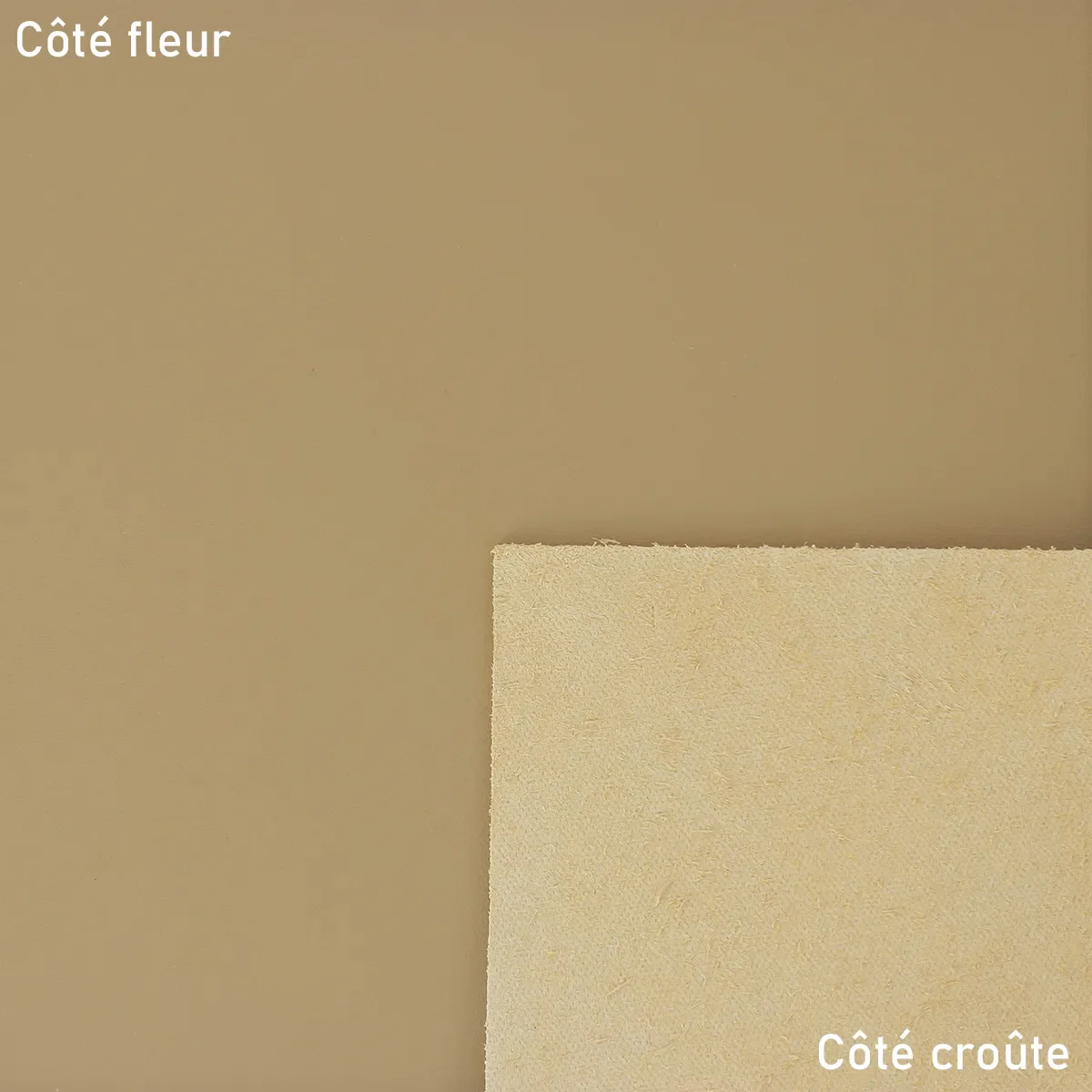 Peau de cuir de vachette VENUS - CAFÉ AU LAIT U91 - Image 2