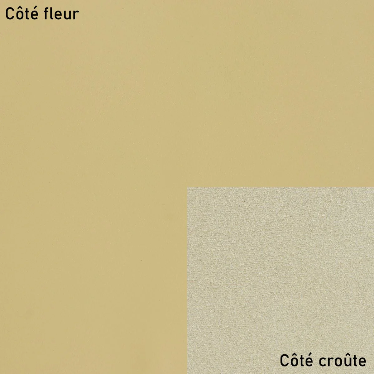 Peau de cuir de vachette VENUS - SABLE M41 - Image 2