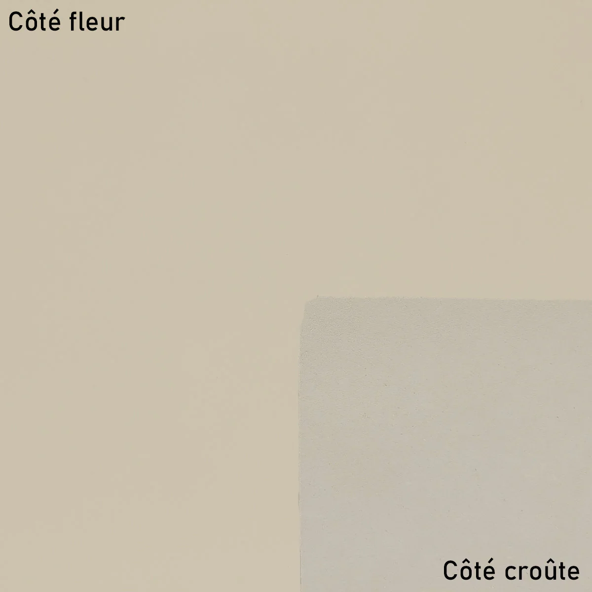 Peau de cuir de veau DIVA - GRIS G85 - Image 2
