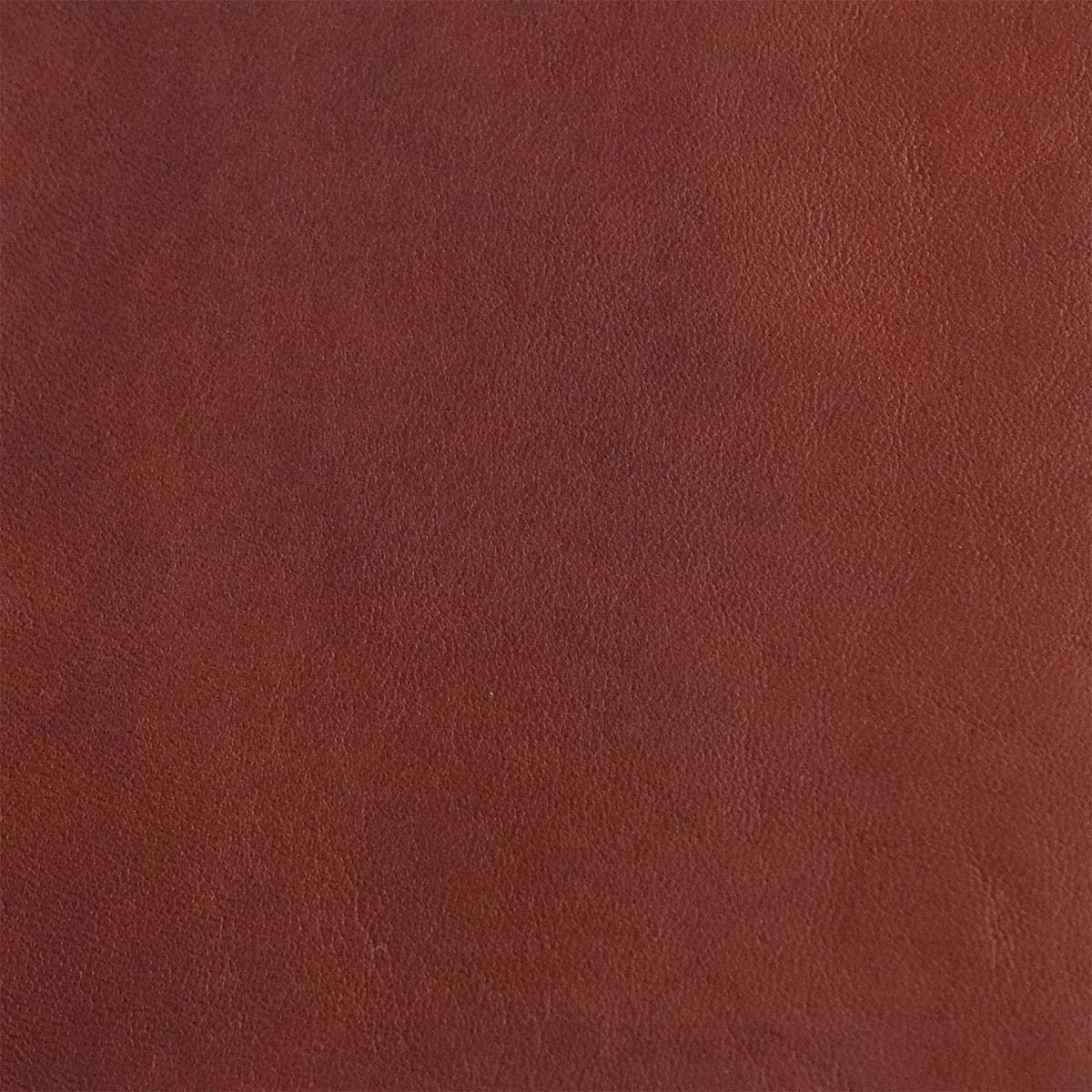 Peau entière de cuir de basane FRANCE - ANILINE - AUBURN BAF28 - Image 4