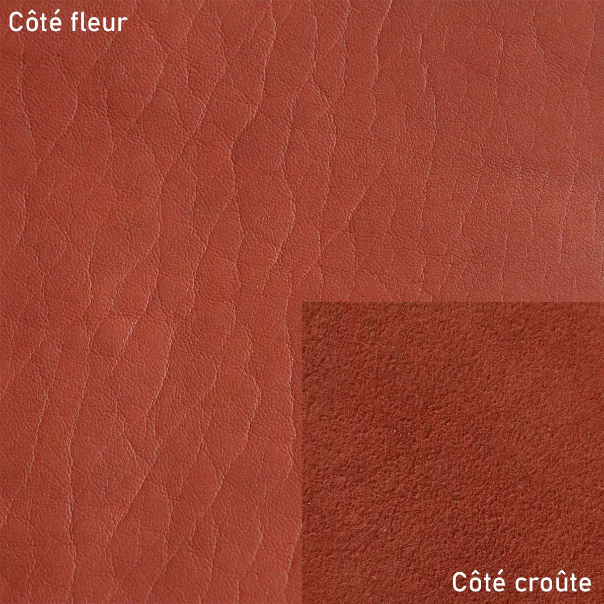 Peau entière de cuir de basane FRANCE - ANILINE - ROUX BAF29 - Image 2