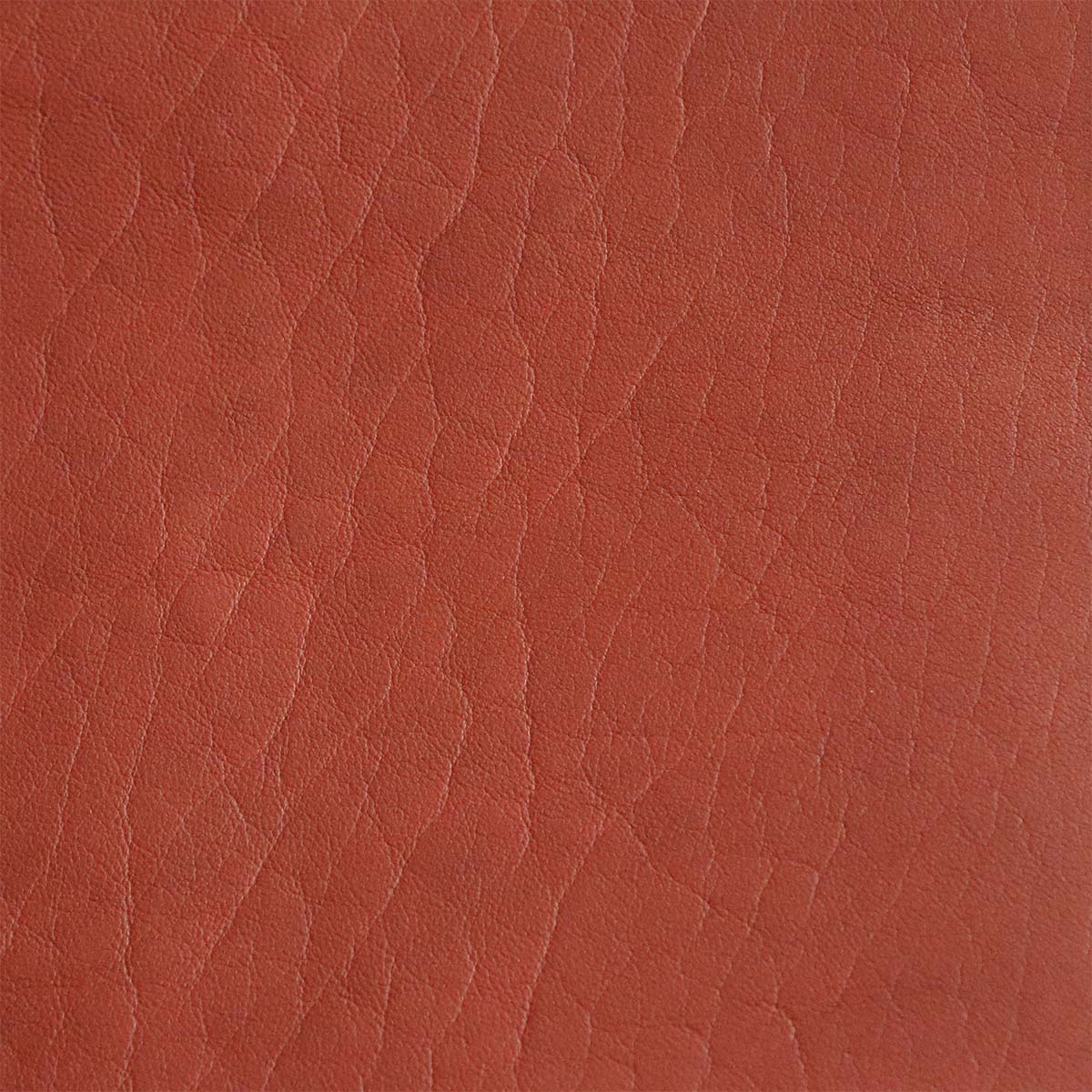 Peau entière de cuir de basane FRANCE - ANILINE - ROUX BAF29 - Image 4