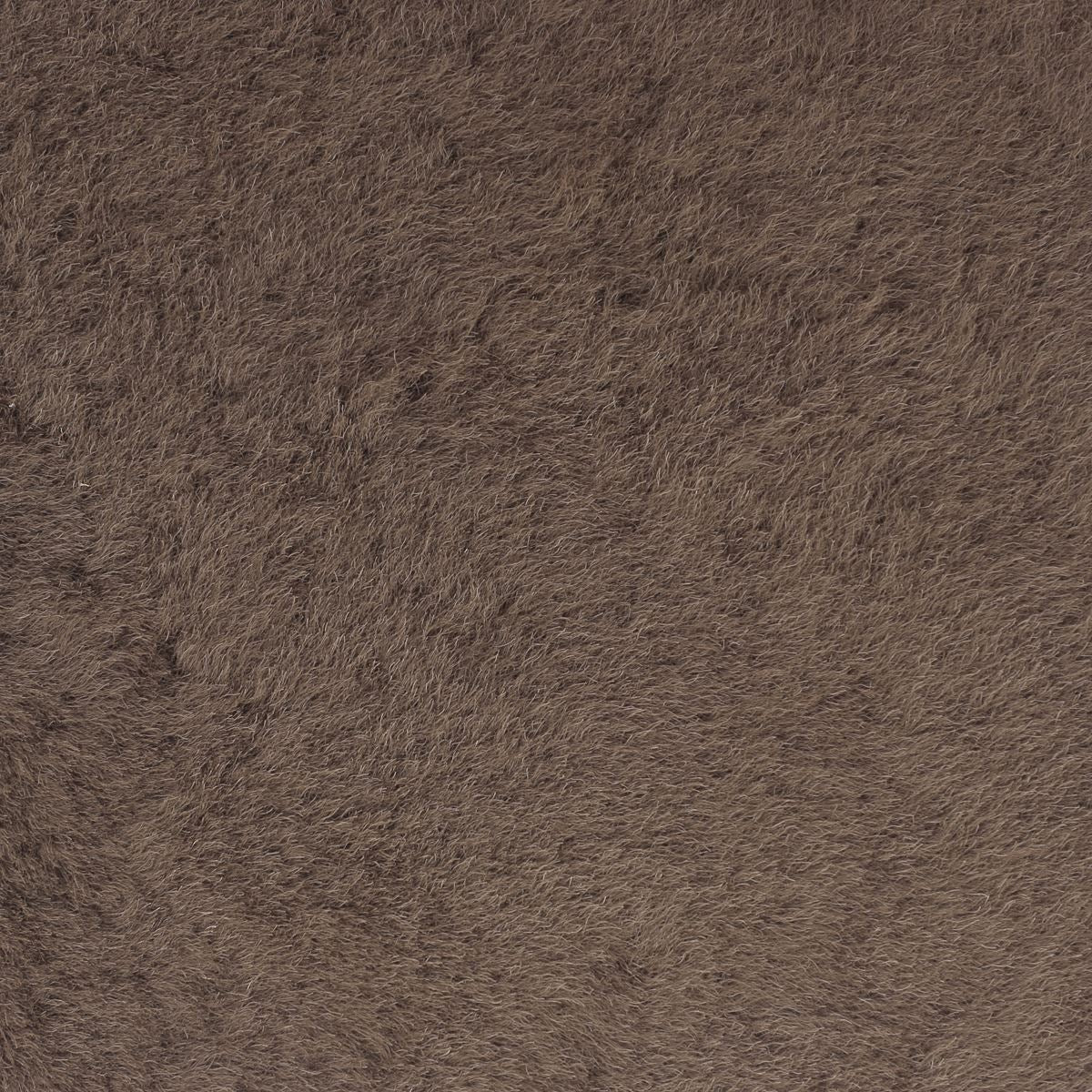 Peau de mouton lainé lisse - Dos pigmenté - BRUN M68 - Image 4
