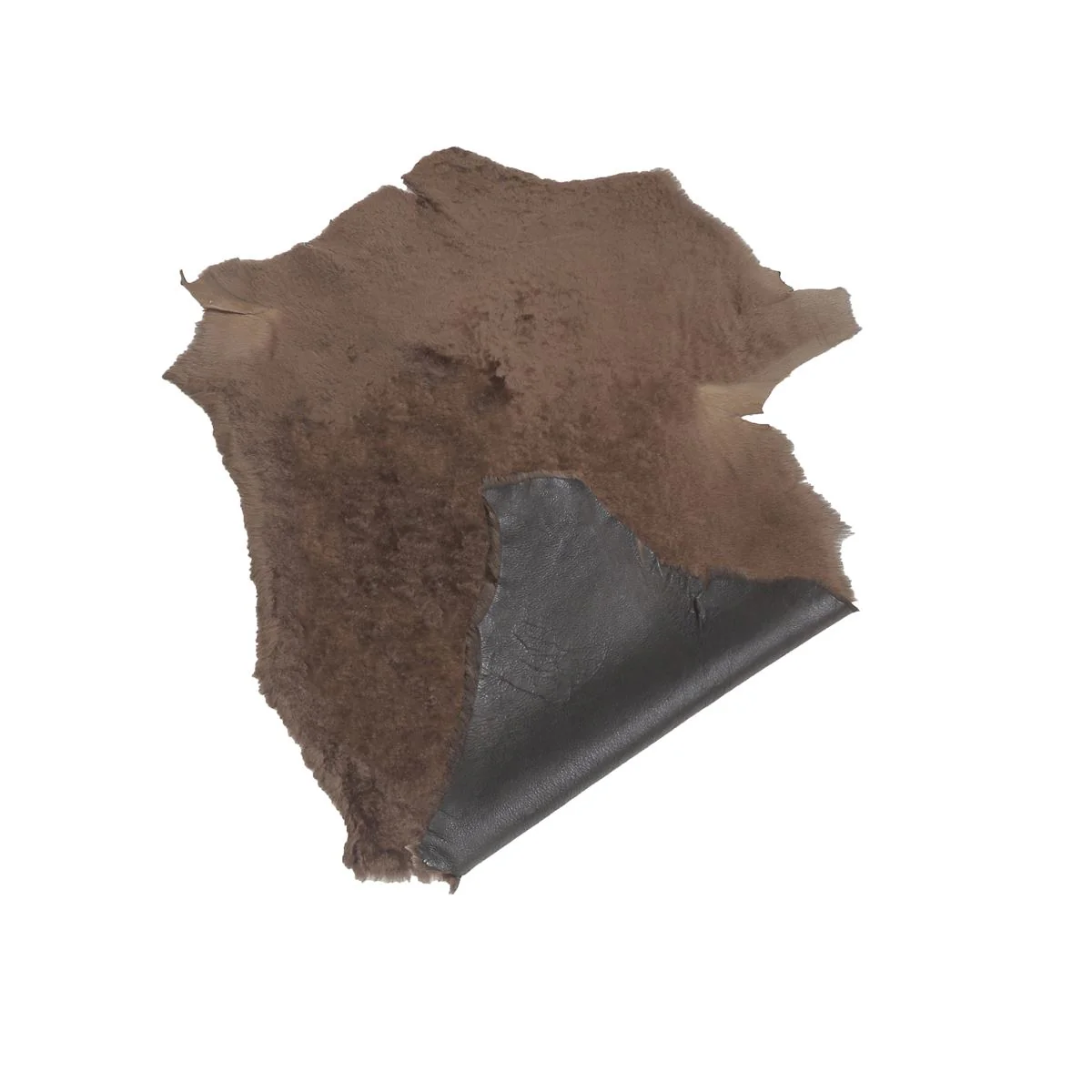 Peau de mouton lainé lisse - Dos pigmenté Ébène - MARRON FONCÉ M74 - Image 3