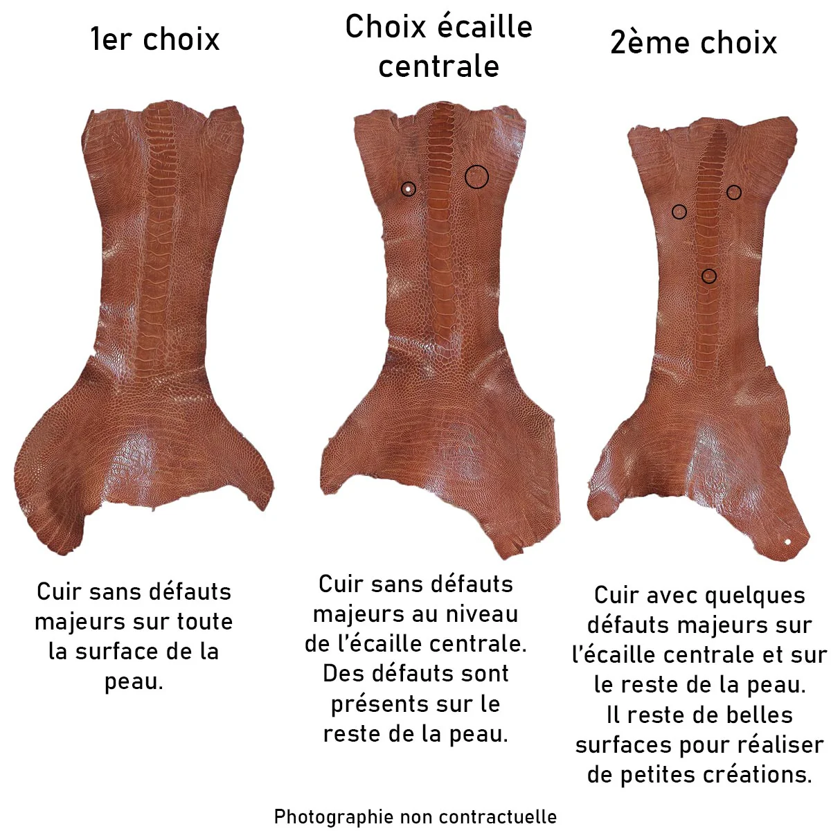 Peau de patte d'Autruche - Ép 0,8mm - COGNAC P76 - Image 2
