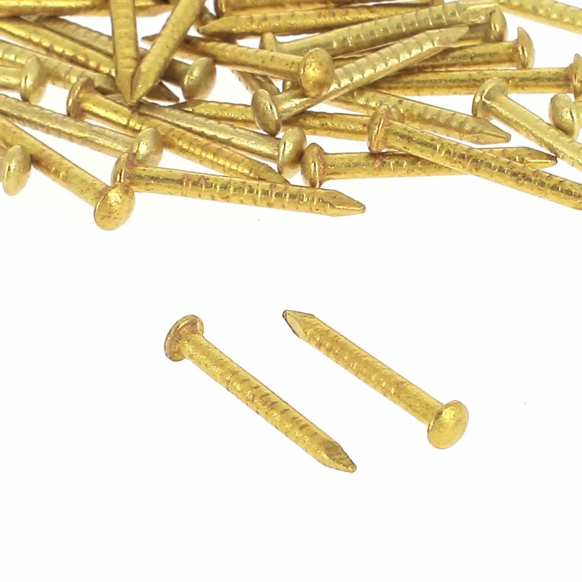 Lot de pointes laiton pour malle tête ronde - 12x1,3mm - LAITON
