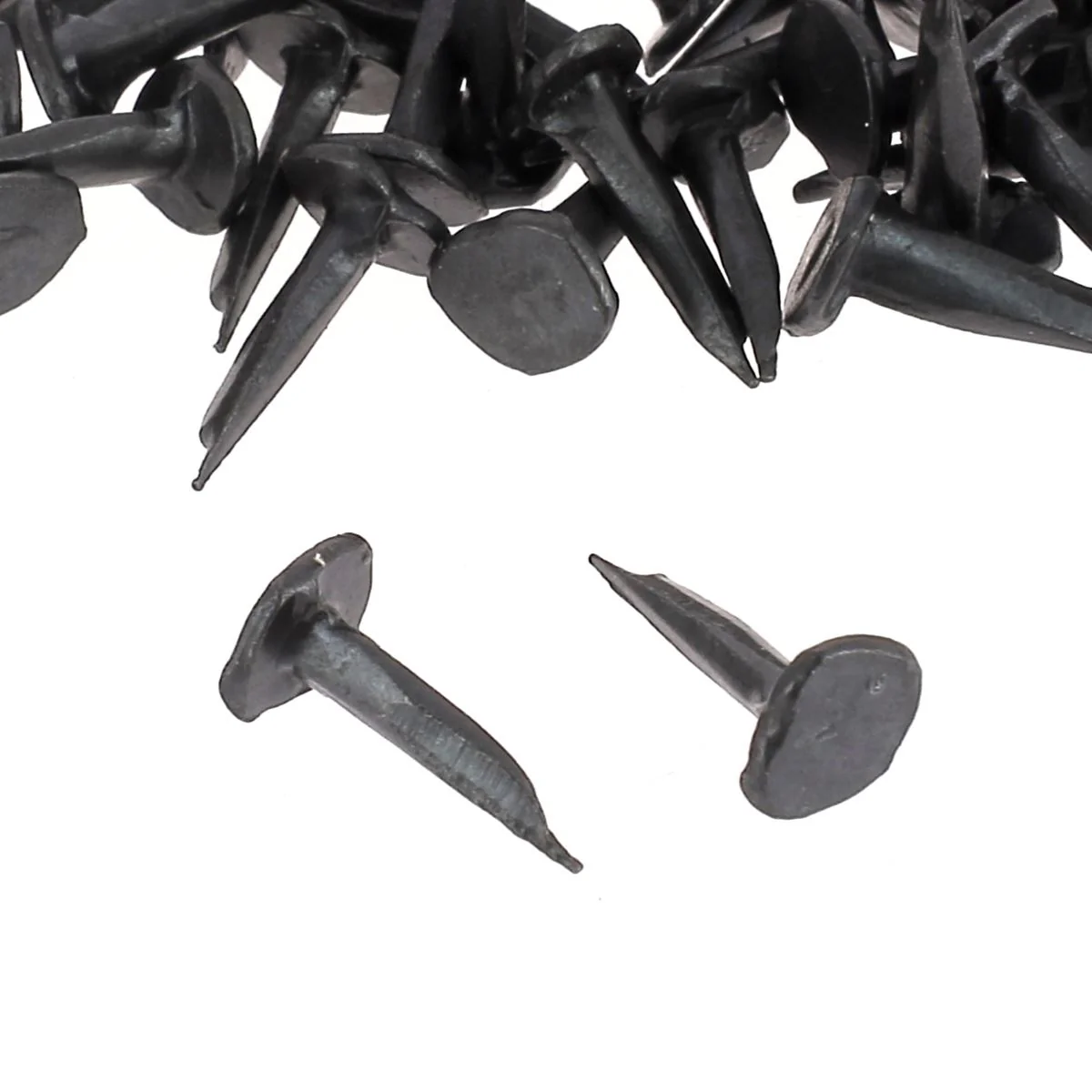 Lot de semences tapissier stérilisées bleuies biseautées - 13mm - 50g