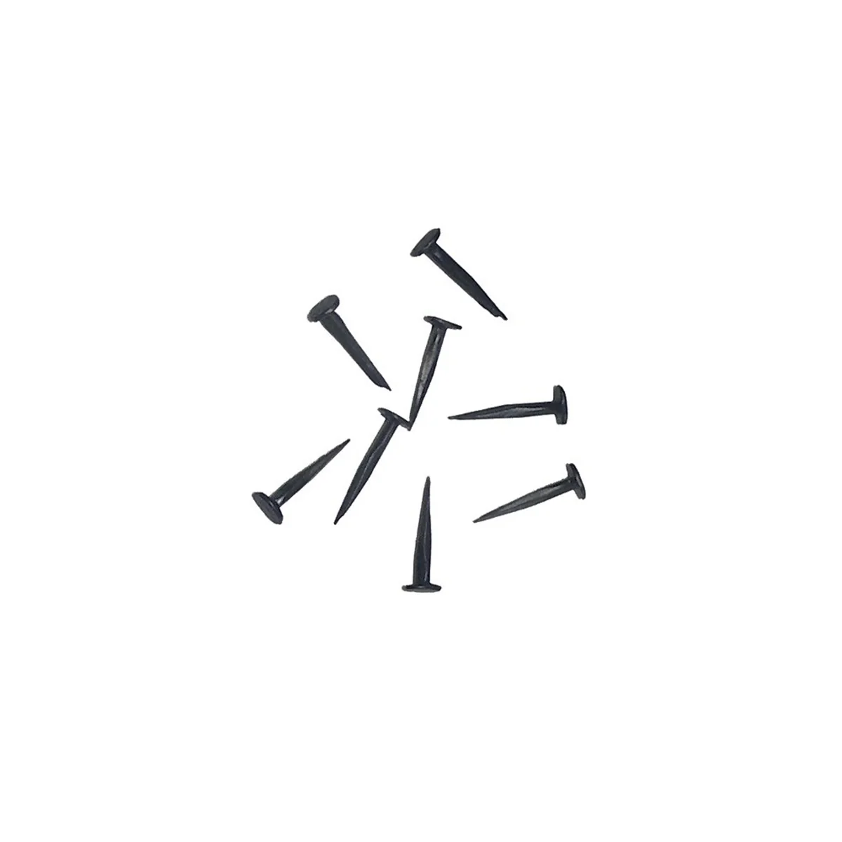 Lot de semences tapissier stérilisées bleuies biseautées - 13mm - 50g - Image 2