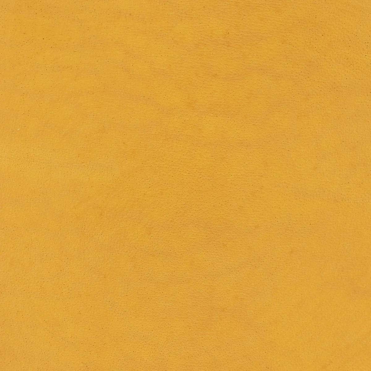 Teinture base aqueuse Deco Cuir - JAUNE - Image 3