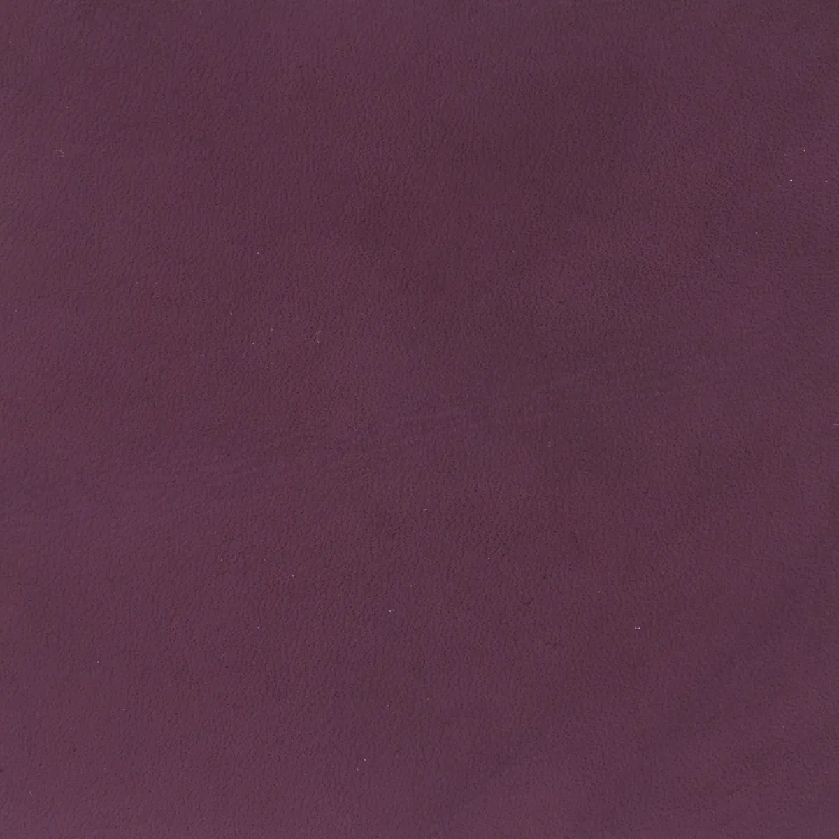 Teinture base aqueuse Deco Cuir - VIOLET - Image 3